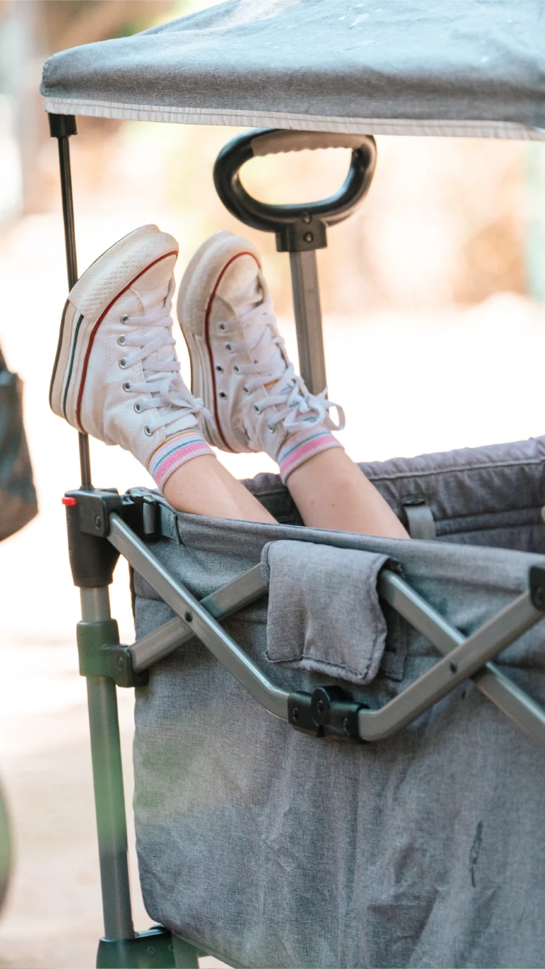 Kiddo WagonKiddo Wagon_271